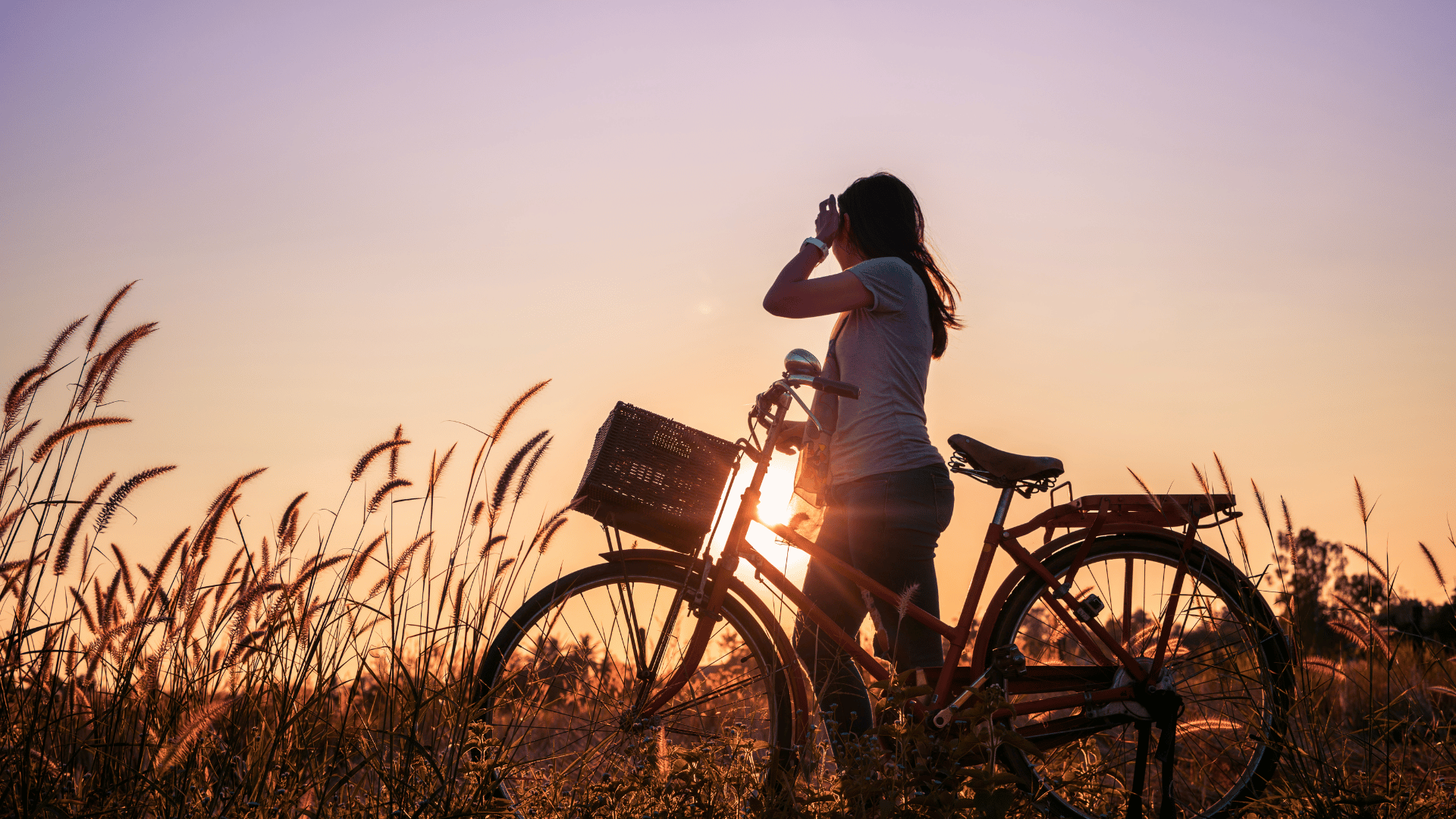 Women's Wellness in Midlife
